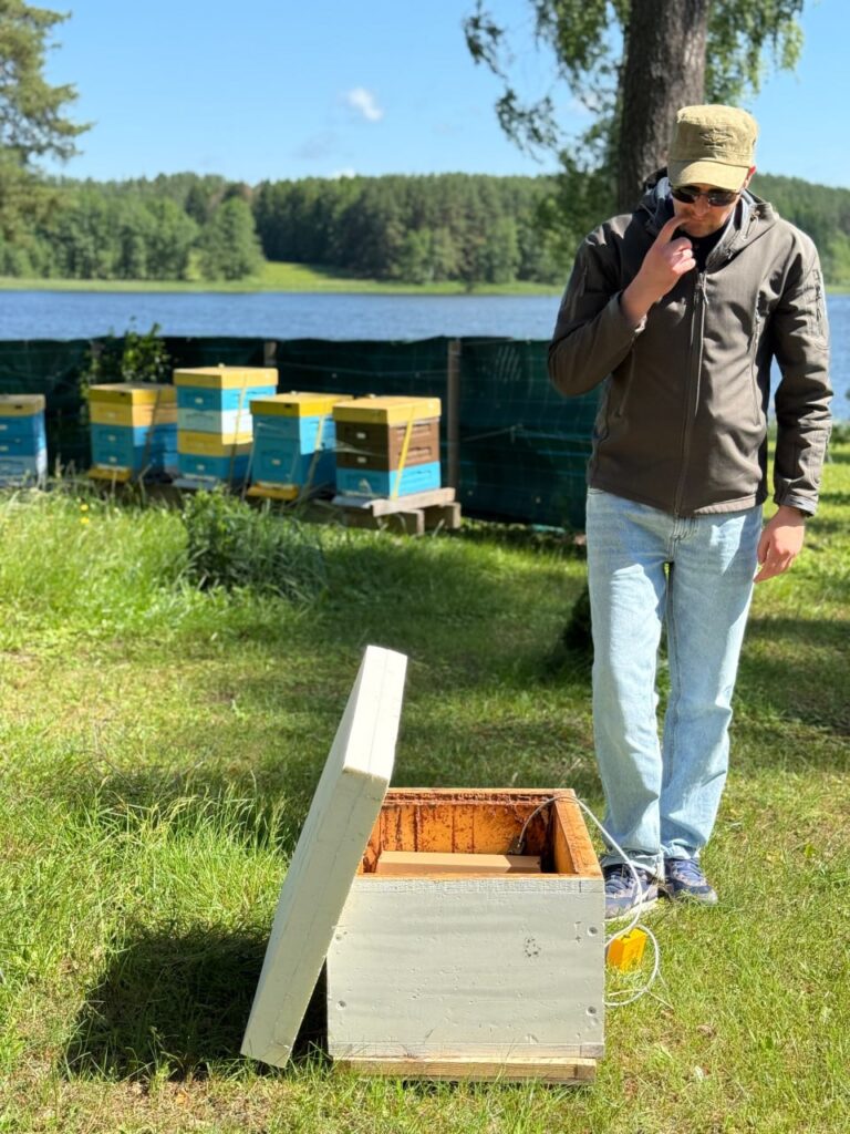 SwarmSense sensor in the beehive